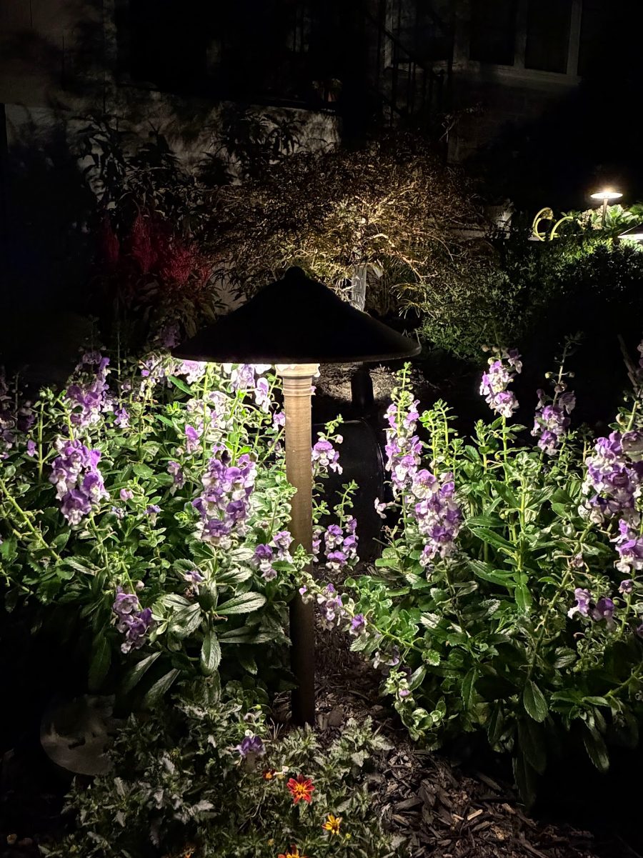 Brass path light illuminating a flowering garden bed at night for safety and security at a home in New Rochelle, NY
