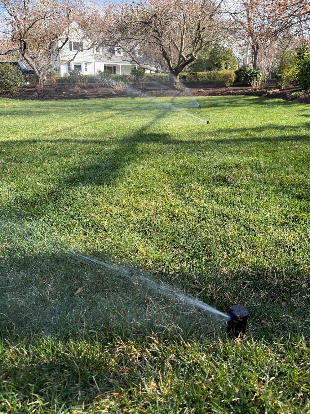 Lawn sprinkler rotor heads watering a newly installed irrigation system at a home in Larchmont, NY